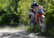 Honda CRF 250 Rally. Il test della baby da rally