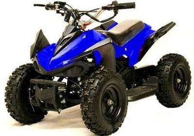  Altre moto o tipologie Quad - Annuncio 6259164