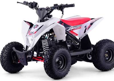  Altre moto o tipologie Quad - Annuncio 7490680