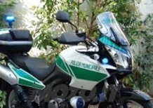 La Suzuki V-Strom in divisa