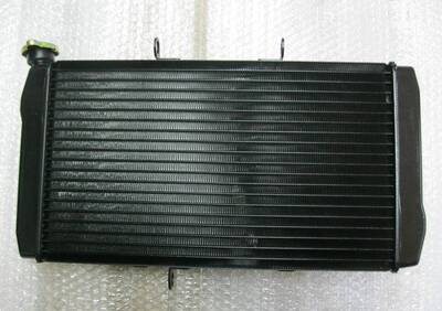 Honda CBR 1100 XX radiatore acqua - Annuncio 7906418