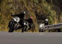 Triumph Street Triple S, R e RS. Gruppo di famiglia in un esterno (Video)