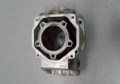 CILINDRO USATO PER APRILIA MOTORE ROTAX 125. - Annuncio 8016170