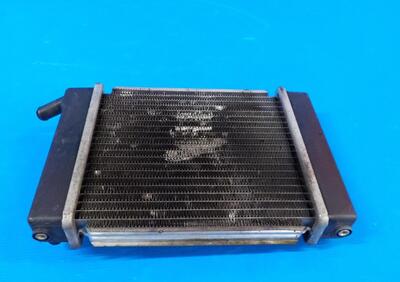radiatore acqua KYMCO GRAND DINK 250 E2 2003 2004  - Annuncio 7411749