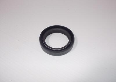 PARAOLIO FORCELLA ORIGINALE KAWASAKI NINJA 300 ABS - Annuncio 7419667