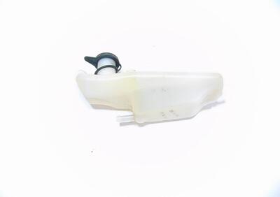 vaso espansione HONDA FORZA 250 ABS 2005 2006 RICA  - Annuncio 8121520