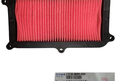 00117743 FILTRO ARIA ORIGINALE KYMCO PEOPLE S ABS  - Annuncio 7419176