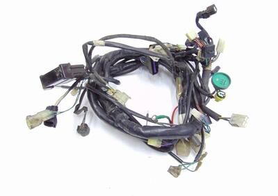 00132139 impianto elettrico KYMCO PEOPLE GTI 300 2  - Annuncio 7893730