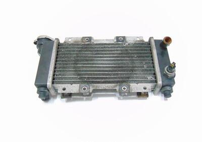 radiatore acqua PEUGEOT LXR 200 2009 2010 2011 201  - Annuncio 8144632