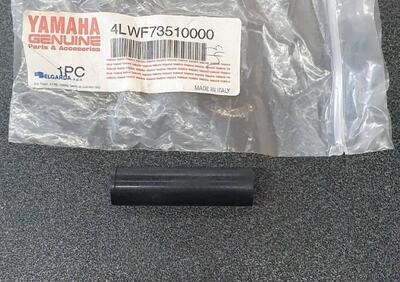 GUIDA GOMMINO MOLLA CAVALLETTO YAMAHA PER WR-TT - Annuncio 8246804