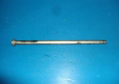 PERNO FORCELLONE FORK PIN HONDA HORNET 600 2005 20  - Annuncio 8295007