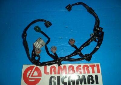 IMPIANTO ELETTRICO CORPO FARFALLATO YAMAHA FZ1 200  - Annuncio 8295579