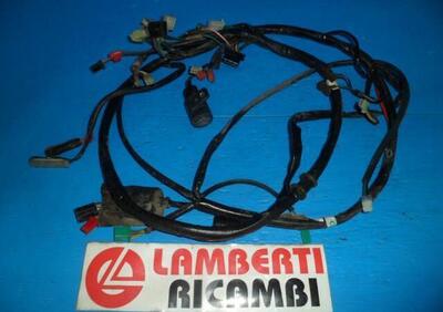 IMPIANTO ELETTRICO ELECTRICAL SYSTEM KYMCO PEOPLE  - Annuncio 8295696