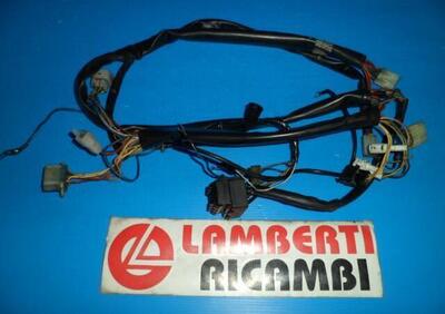 IMPIANTO ELETTRICO APRILIA LEONARDO 125 1999 2000  - Annuncio 8296101