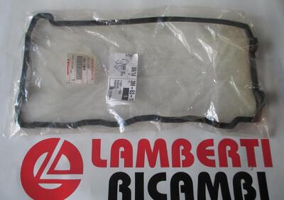 GUARNIZIONE COPERCHIO PUNTERIE KAWASAKI ZRX 1200 2 - Annuncio 8296347