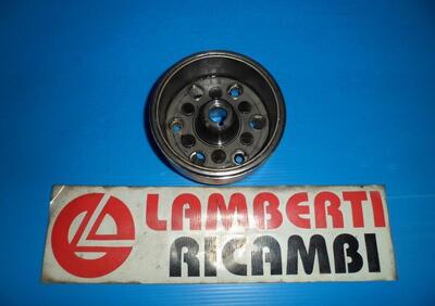 VOLANO FLYWHEEL APRILIA LEONARDO 125 150 1996 2002  - Annuncio 8297165