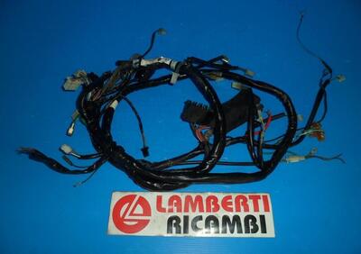 IMPIANTO ELETTRICO ELECTRICAL SYSTEM KYMCO PEOPLE  - Annuncio 8297941