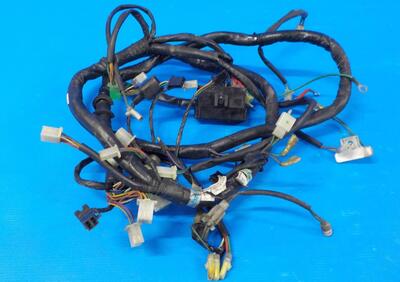 impianto elettrico KYMCO PEOPLE S 250 2006 2007 RI  - Annuncio 8305260