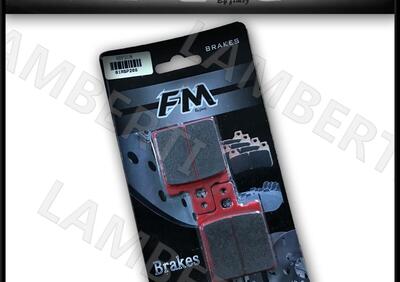 Pastiglia freno posteriore 61340081A DUCATI MULTIS  - Annuncio 8307659