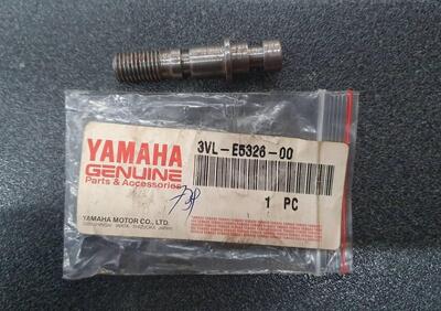 PERNO GANASCE FRENO POSTERIORE YAMAHA MBK BOOSTER - Annuncio 8327382