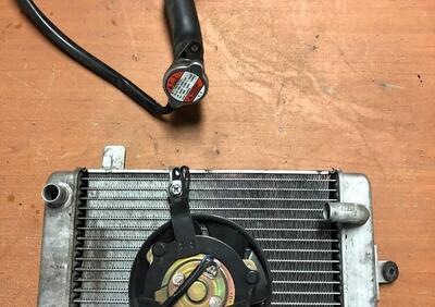 Radiatore con ventola Suzuki Burgman 400 '03-'05 - Annuncio 8380737