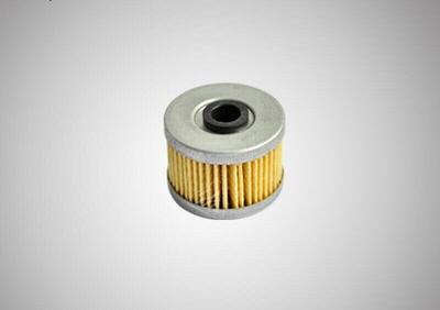 Filtro olio originale VOGE VALICO 300 DS 2020 2021  - Annuncio 8397135