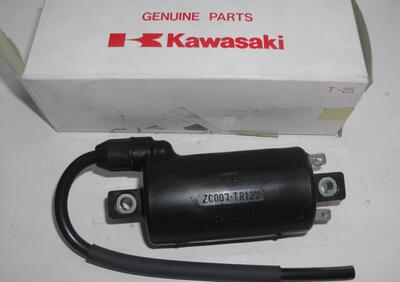 BOBINA ACCENSIONE KAWASAKI EN450 LTD - Annuncio 7389522