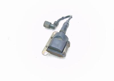 bobina MOTORS ATENA 150 2009 RICAMBI USATI  - Annuncio 8650934