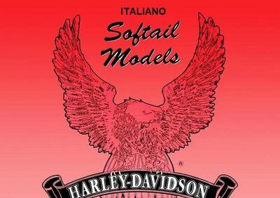 Manuale officina originale Harley Davidson per Sof  - Annuncio 8826611
