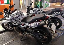 L'Aprilia Shiver 900 ritorna con il marchio Gilera? [Foto Spia]