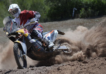 KTM Rally 450 Marc Coma 