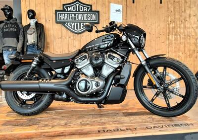 Harley-Davidson Nightster (2023 - 24) - Annuncio 9037098