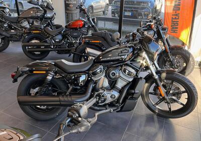 Harley-Davidson Nightster (2023) - Annuncio 9055026