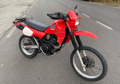 Kawasaki KLR 600 (1984 - 85) - Annuncio 9059571