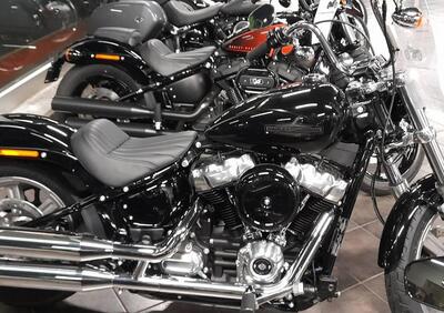 Harley-Davidson Softail Standard (2021 - 24) - Annuncio 9086087
