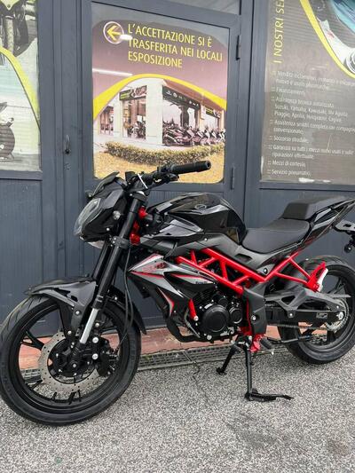 Benelli BN 125 (2021 - 25) nuova