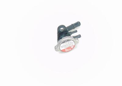 tappo radiatore HONDA FORZA 250 2006 2007 RICAMBI  - Annuncio 9242202