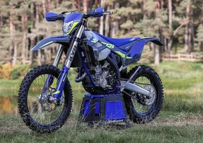 Sherco 300 SEF Factory (2024) - Annuncio 9033133