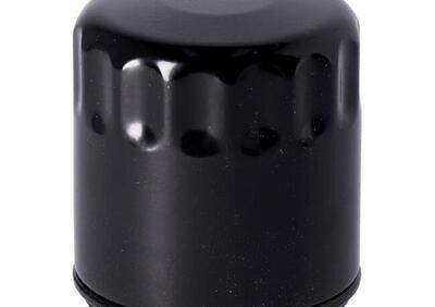 Filtro olio nero per Pan America RA1250/1250S dal Drag Specialties - Annuncio 9151944