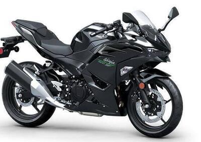 Kawasaki Ninja 500 (2024) - Annuncio 9314856