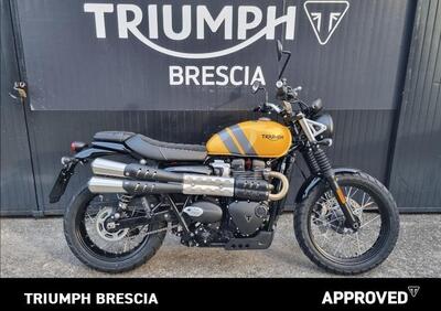 Triumph Scrambler 900 (2023 - 24) - Annuncio 9317581