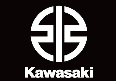 Kawasaki Z 900 A2 (2021 - 24) - Annuncio 9329567