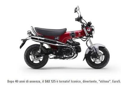 Honda ST 125 Dax (2023) - Annuncio 9332272