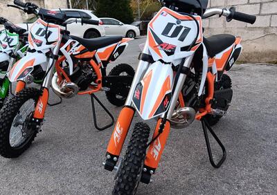  Altre moto o tipologie Pitbike - Annuncio 9336223