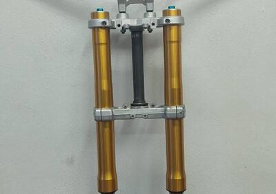 Forcella completa Ohlins per Ducati Multistrada 11 Öhlins - Annuncio 9304603