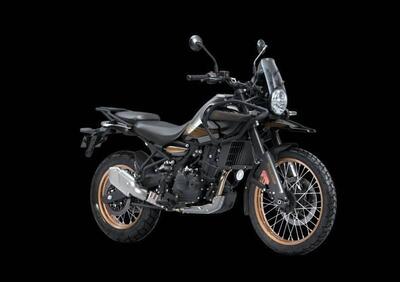 Royal Enfield Himalayan 450 (2024) - Annuncio 9349453