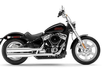 Harley-Davidson Softail Standard (2021 - 24) - Annuncio 9360838