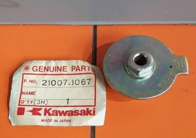 Rotore generatore Kawasaki 210071067 - Annuncio 9364617