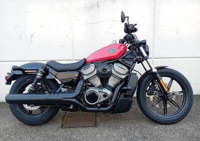 Harley-Davidson Nightster (2023 - 24) - Annuncio 9368522