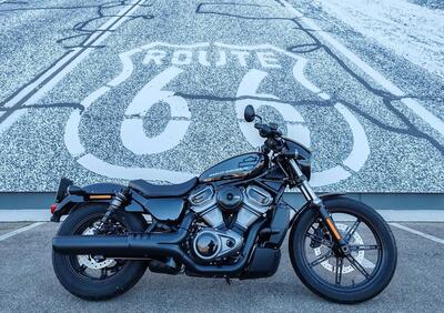 Harley-Davidson Nightster (2023 - 24) - Annuncio 9388406